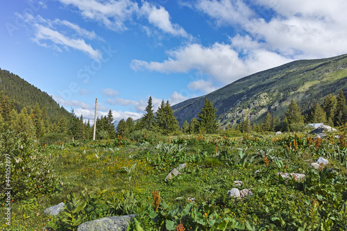 Landscape of area of Tiha Rila (Quiet Rila), Bulgaria photo