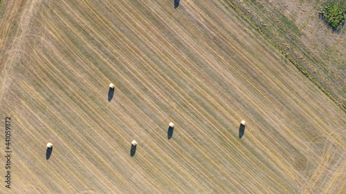 Ipsheim, Germany / Bavaria - August 18, 2020: Dried straw hay barrel rolls for animal feed lay in a freshly cut field with tractor tracks and textures. View from above. Background.