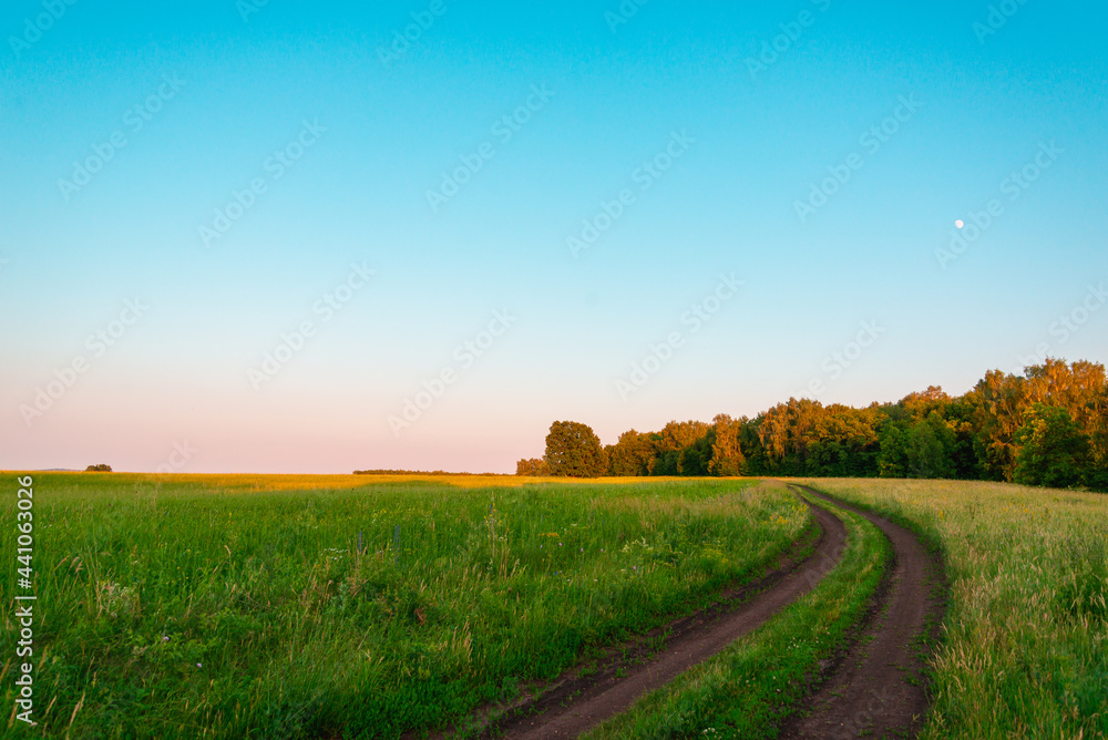 Fototapeta premium The road through the field along the edge of the forest at sunset.