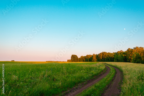 The road through the field along the edge of the forest at sunset.