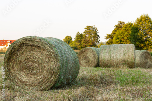 Obraz na płótnie Hay bales in the field w salonie