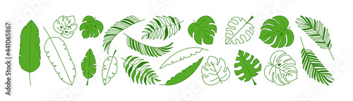Tropical leaves vector set, green palm leaf outline and flat silhouettes isolated on white background. Nature exotic illustration