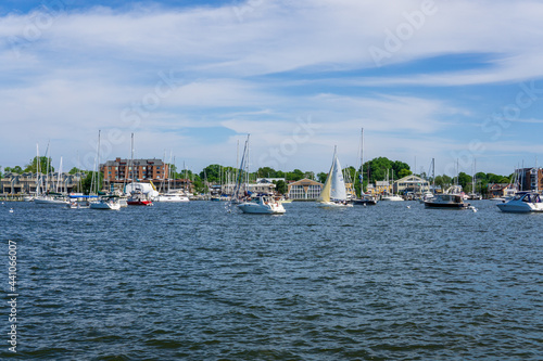 boats in the harbor