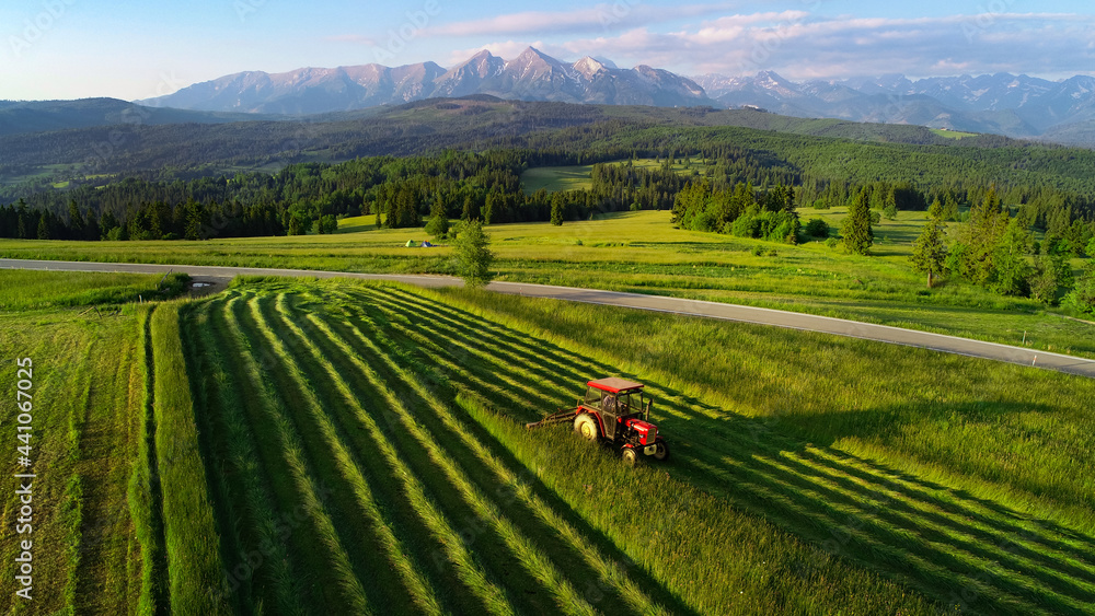Tractor mowing the grass with beautiful high mountains in the background, aerial view. Haymaking in the mountain village. Tractor during harvest. Ecological agriculture. 