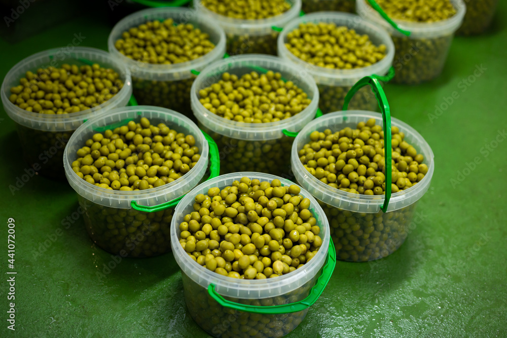 View of open plastic packing buckets filled with marinated green olives on pickles producing factory