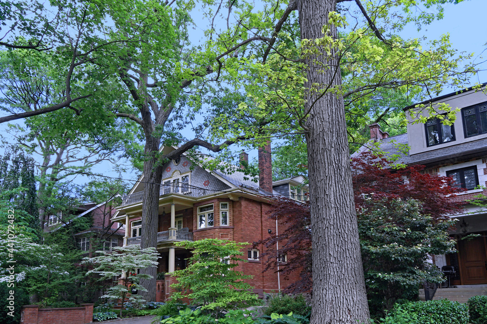 Shady residential street with tall trees surrounding older urban three story houses Shady residential street with tall trees surrounding older urban three story houses