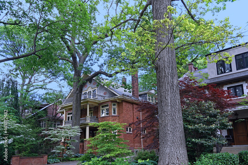 Photography Shady residential street with tall trees surrounding older urban three story hou