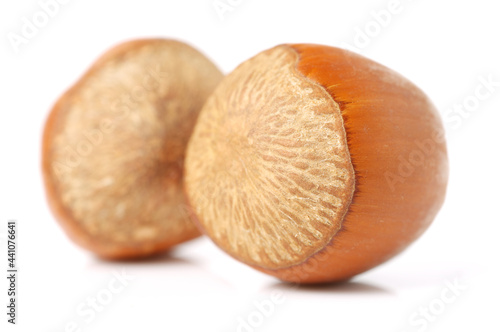 Hazelnuts on a white background