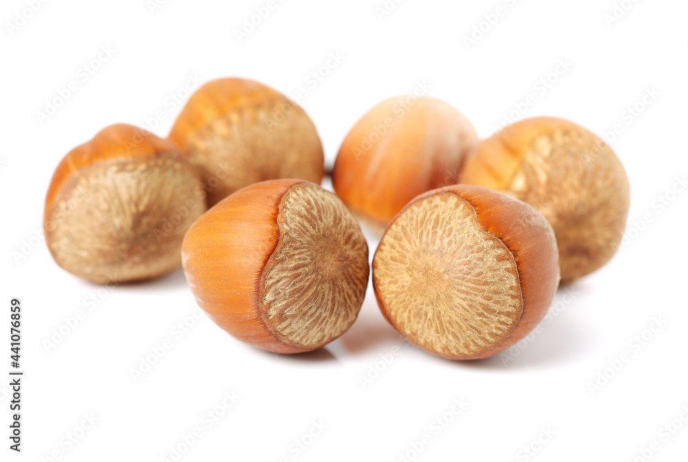 Hazelnuts on a white background Hazelnuts on a white background