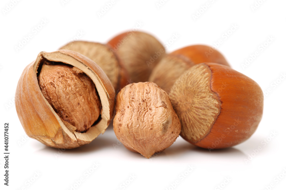 hazelnuts isolated on white background hazelnuts isolated on white background