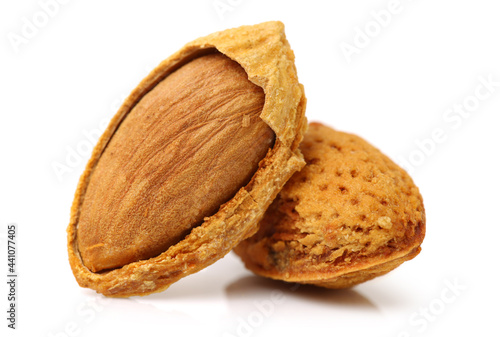 Tableau sur toile apricot kernel isolated on white background