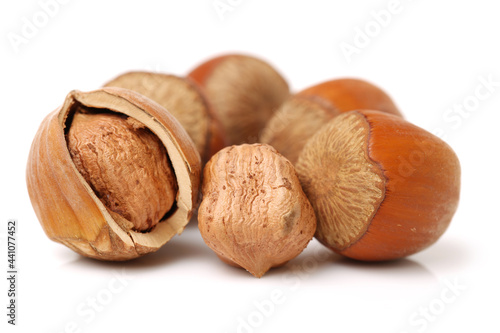 hazelnuts isolated on white background