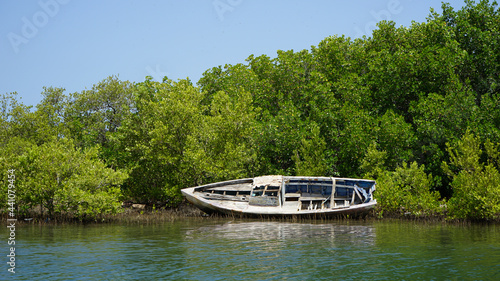 Abandoned boat, Montecristi mangroves photo