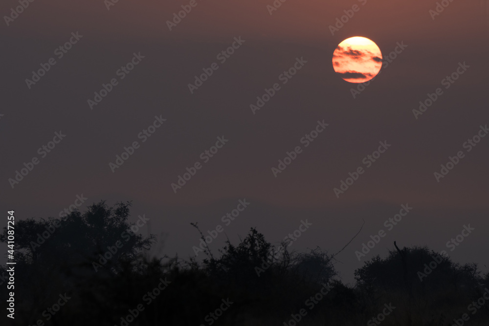 Kruger National Park: sun obscured by smoke from controlled veld burning Kruger National Park: sun obscured by smoke from controlled veld burning