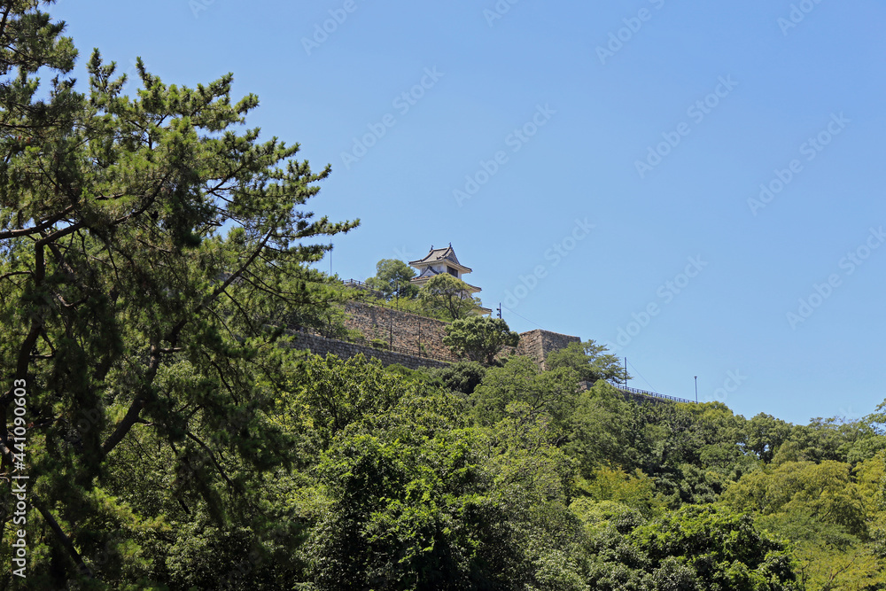 初夏の丸亀城 初夏の丸亀城