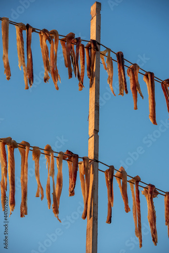 Typical salty dried fish peix sec in the Balearic islands of the Mediterranean in Es Calo, Formentera, Spain photo