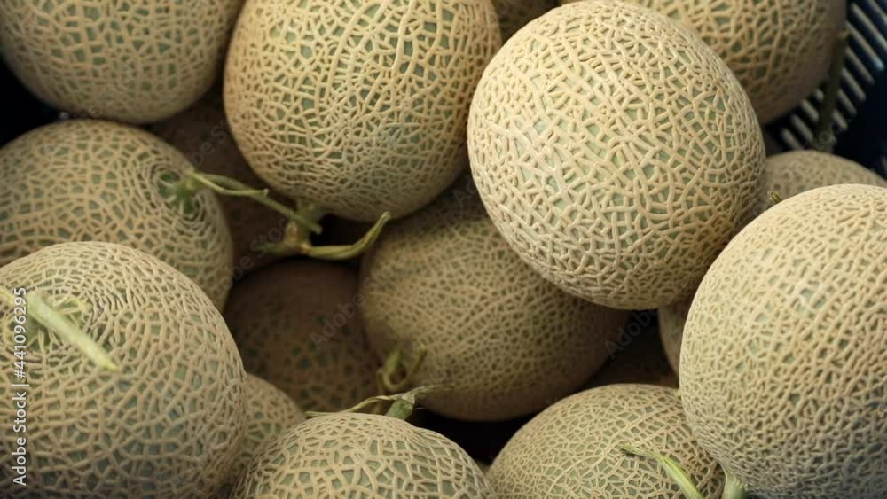 fresh cantaloupe, sweet, green fresh cantaloupe, sweet, green