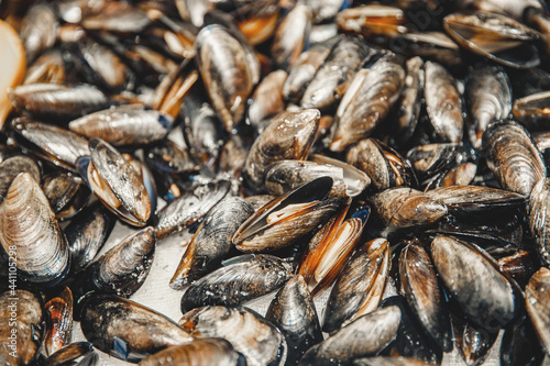 Closeup fresh farm mussels on table, sea market