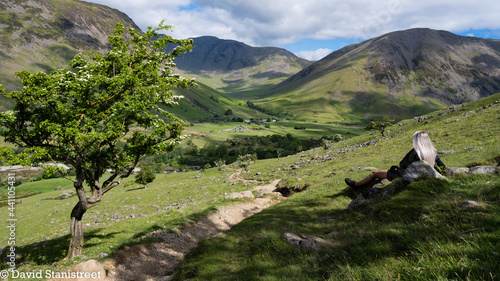 Lady hiker viewing Wasdale Head at the start of Scafell Pike ascent  photo