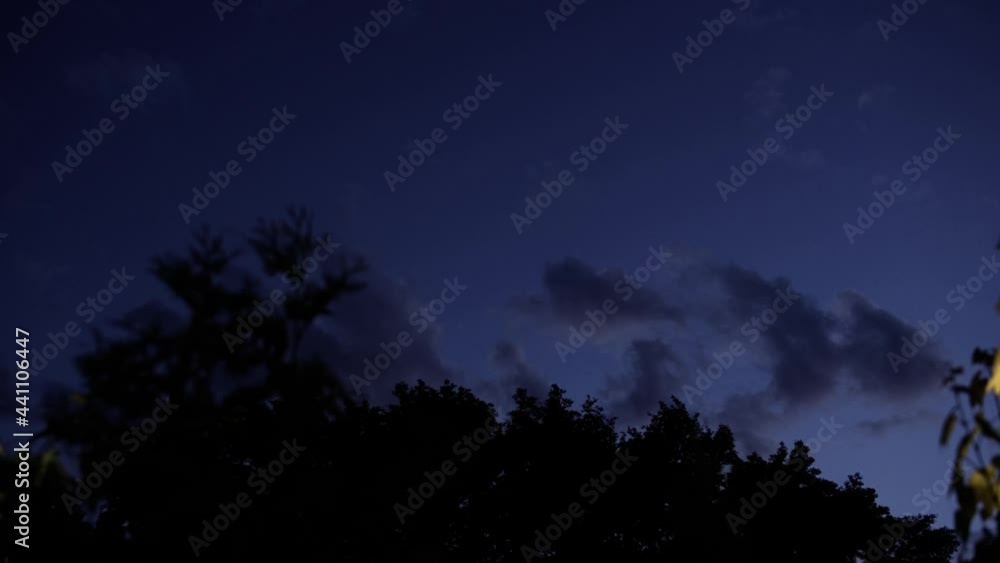 beautiful evening sky on the background of the forest beautiful evening sky on the background of the forest
