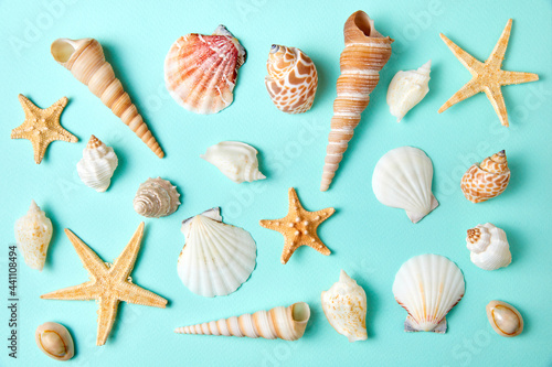 Set of exotic seashells and starfishes on a blue background
