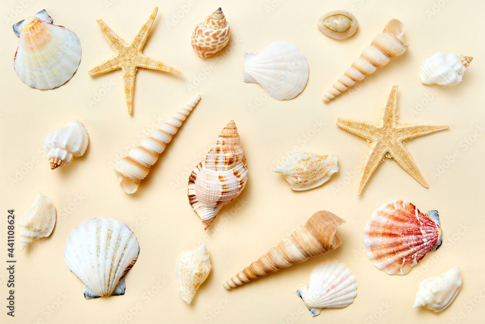 Set of exotic seashells and starfishes on a yellow background