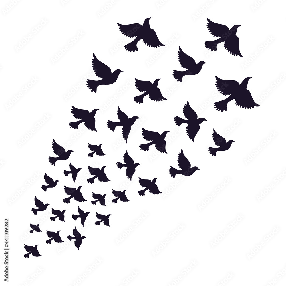 A flock of birds flying away. Freedom symbol. Vector illustration on a transparent background A flock of birds flying away. Freedom symbol. Vector illustration on a transparent background