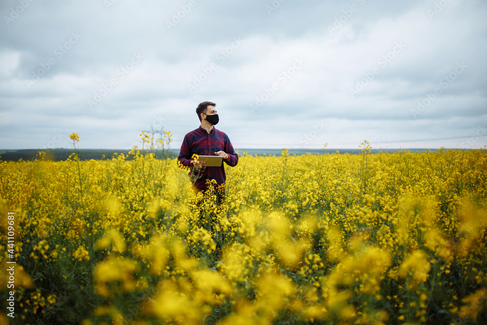 A successful farmer checks the rapeseed crop. A man agronomist stands in a rapeseed field with a tablet in his hands. Checking rapeseed. Ripe harvest. A successful farmer checks the rapeseed crop. A man agronomist stands in a rapeseed field with a tablet in his hands. Checking rapeseed. Ripe harvest.