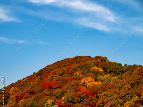 秋になり色とりどりの紅葉が美しい里山
