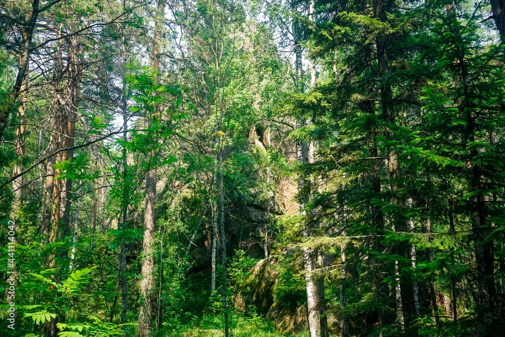 Fototapeta premium Krasnoyarsk Pillars Nature Reserve is one of the unique places in Russia