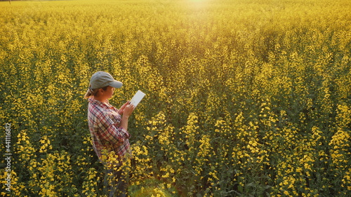 A woman farmer or agronomist, working with a digital tablet, examines the growth of a blooming rapeseed in a field at sunset