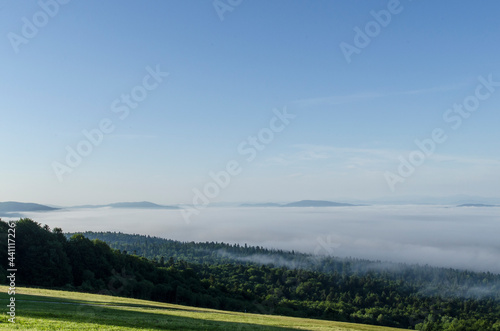 poranek mgła Bieszczady 