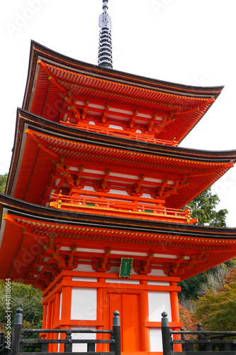 日本　京都　世界遺産　紅葉　秋　景色　四季
オレンジ　赤　イエロー