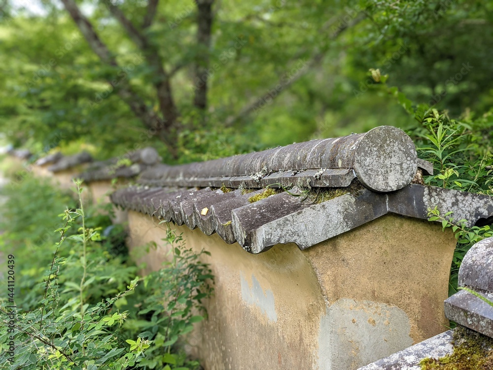 Obraz premium log cabin in the forest