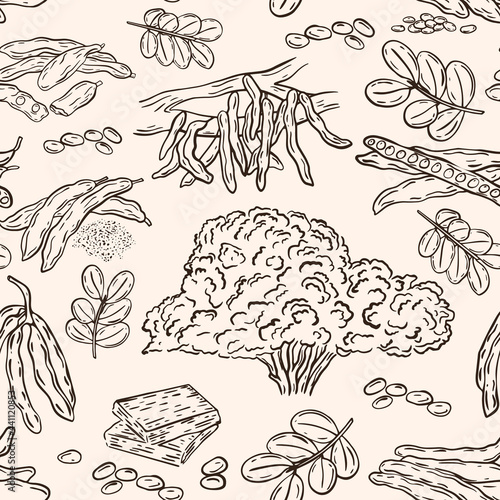 Carob seamless pattern  vector. Fruit sketch of the super product carob  wallpaper. Background with hand drawing pods  seeds and trees. Food template.