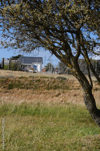 Some nice tiny house in the west of France near the Atlantic Ocean. Spring 2021.