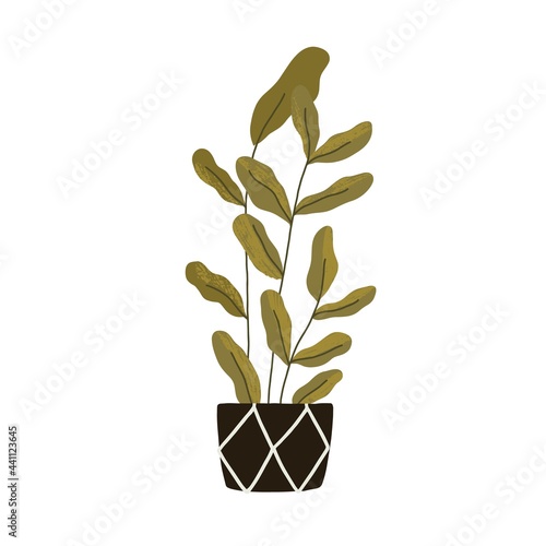 Green potted interior plant for home decoration. Big high foliage houseplant in planter. Tall ficus growing in ceramic container. Flat vector illustration isolated on white background