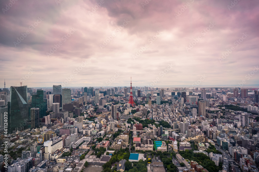Cloudy purple sky over a cityscape from middle of Tokyo, Japan.