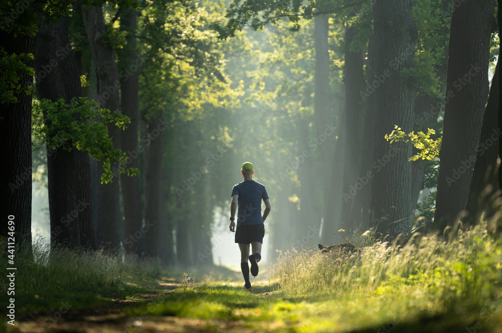A man running in a lane of tree's on a sunny, summer's morning. A man running in a lane of tree's on a sunny, summer's morning.