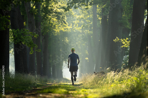 A man running in a lane of tree's on a sunny, summer's morning.