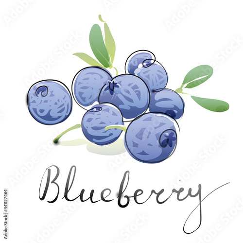 Blueberries, berries and leaves, vector illustration