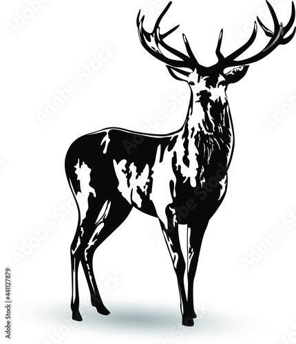 Black and white image of a standing deer with branchy antlers vector illustration