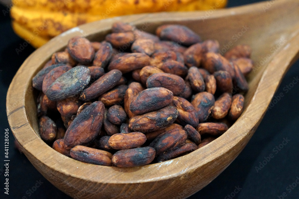 Cocoa beans or chocolate on wooden spoon background Cocoa beans or chocolate on wooden spoon background