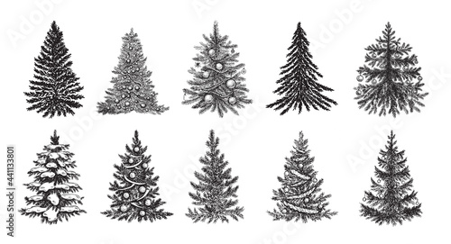 Christmas tree. Hand drawn style. Vector illustration.	
