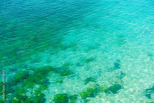 The color of gradual turquoise crystal sea water 