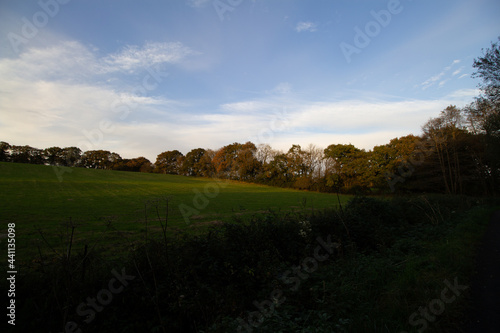 Devon greenl fields for grazing with hedgerows and trees with a cloudy blue sky