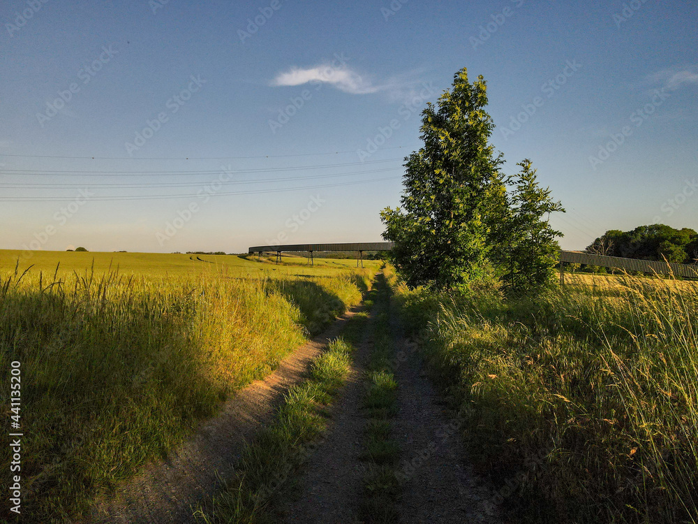 Obraz premium les awirs