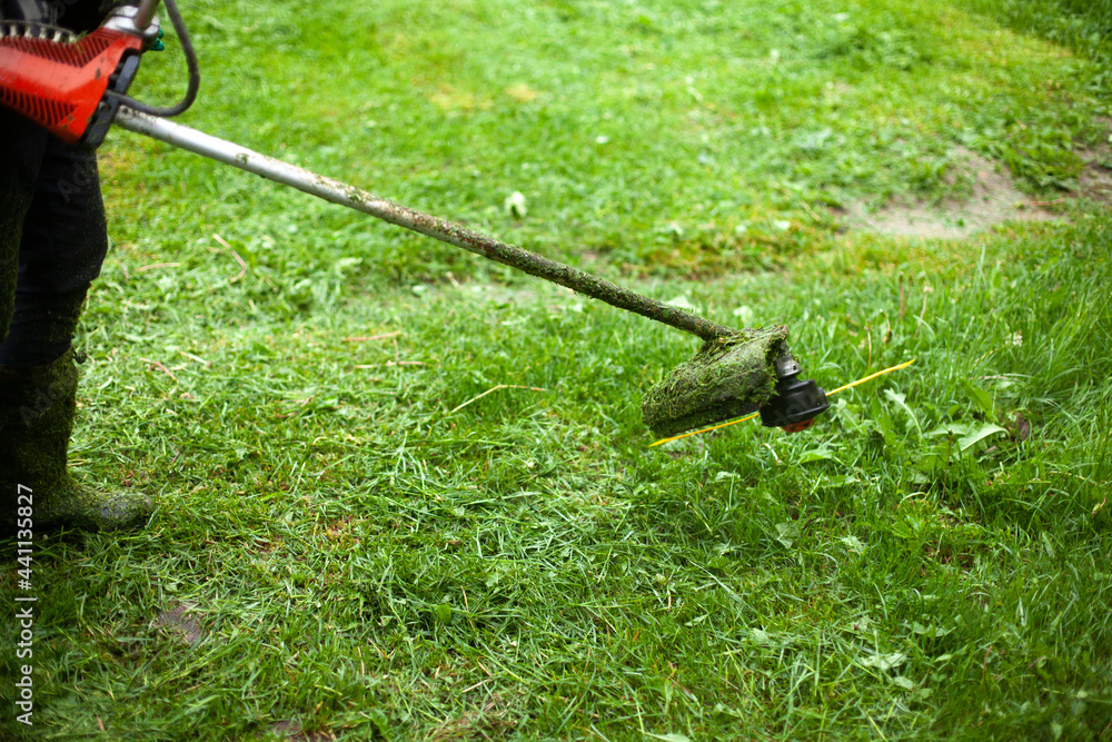 Naklejka premium Mows the grass with a hand-held lawn mower. The gardener is cutting the lawn.