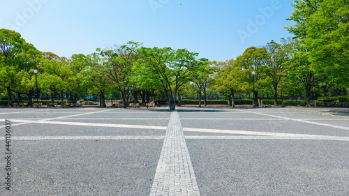 Wallpaper Mural ケヤキの新緑に囲まれた代々木公園イベント広場 Torontodigital.ca