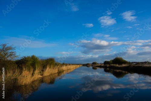 Fototapeta Naklejka Na Ścianę i Meble -  Exeter Ship Canal at Topsham with a few clouds reflected in the still water and a clear blue sky